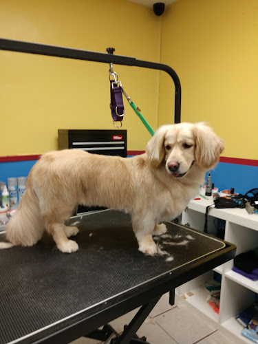 Justabout Pawz Pet Salon