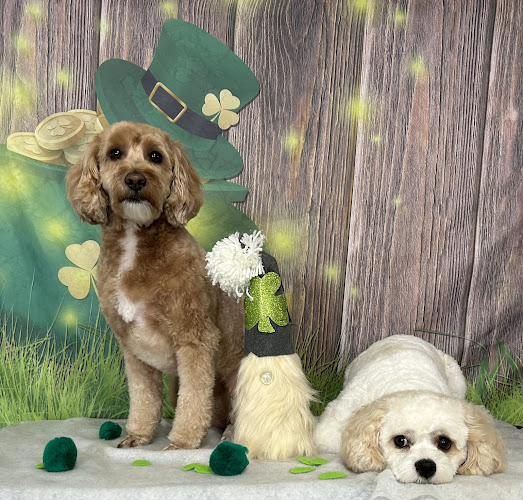 Justin’s Pet Grooming