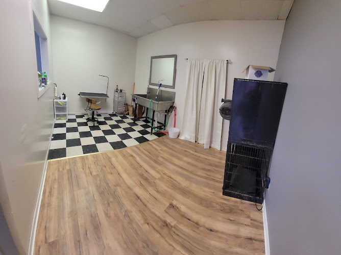 K 9/10 Grooming and Training