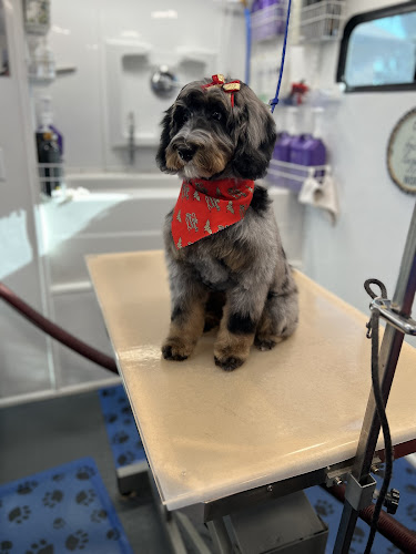 K-9 By Design Mobile Grooming