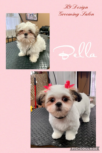 K-9 Design Grooming Salon