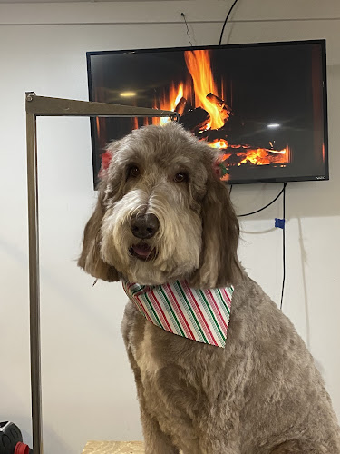 K-9 Heaven Grooming Salon