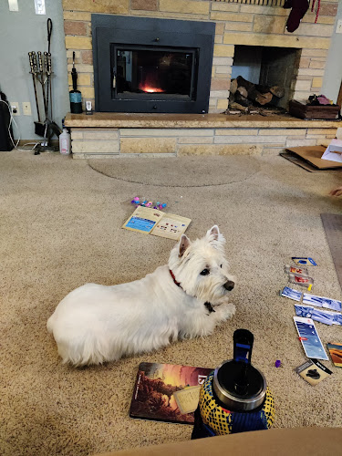 K-9 Klips Grooming & Boarding