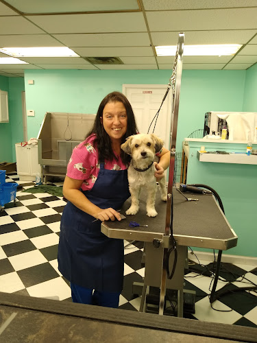 Kara's Lucky Dog Pet Grooming