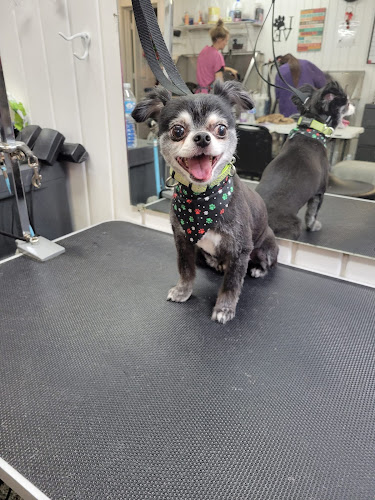 Karen's Grooming and Boarding