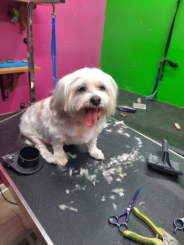 Karen's Grooming & Pet Wash