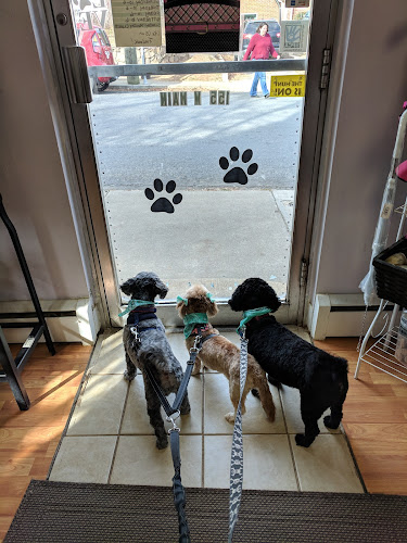 Kathy Marrs Pet Grooming