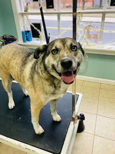 Kelly Green Grooming