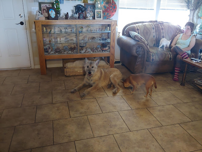 Kelly's Kritter Clips