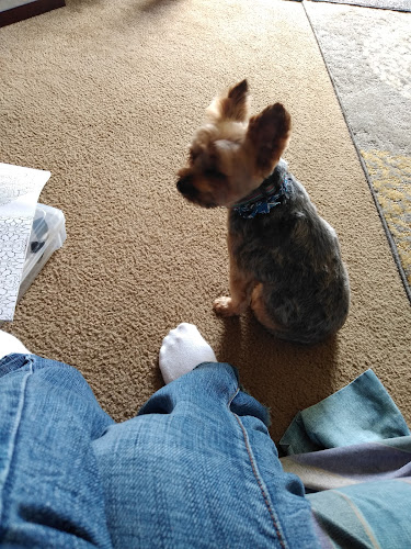 Kelly's Pet Boutique East