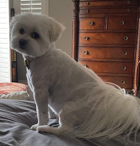 Kelsey's Groom Shop and Boarding