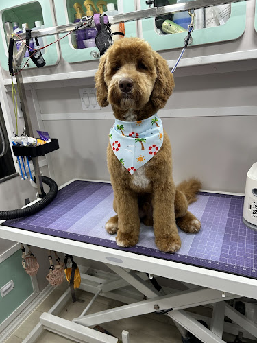 Kenina Mobile Pet Grooming