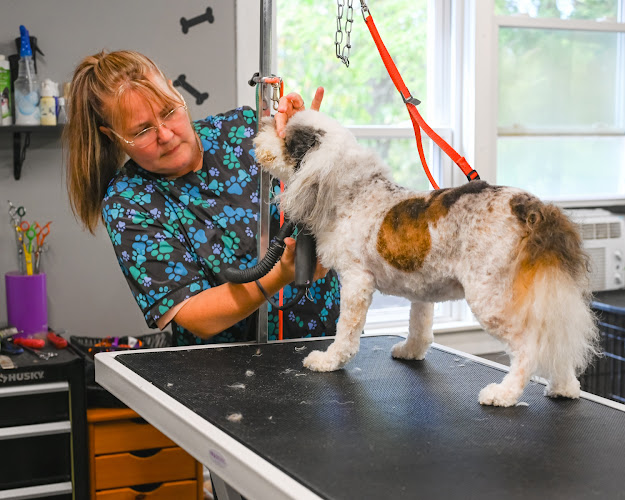 Kennel Des Les Anges