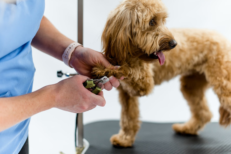 Keystone Pet Place Mount Joy