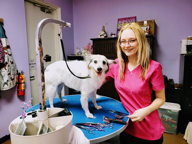 Kim's Passion For Paws