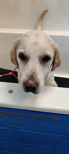 Kimbur Pet Wash & Suites