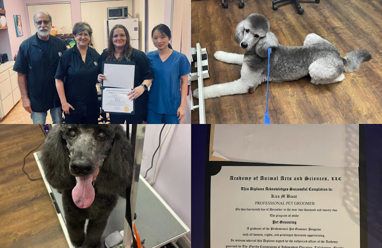 Kira’s Pet Grooming & Spa