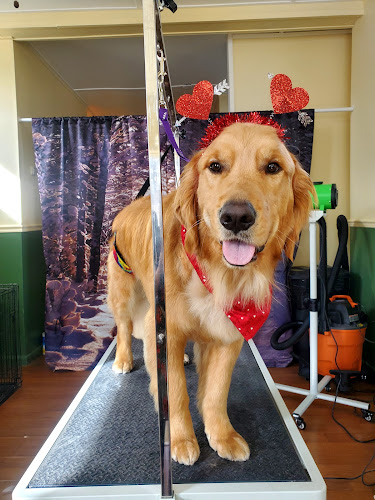 Kiss My Mutt Pet Grooming, LLC.