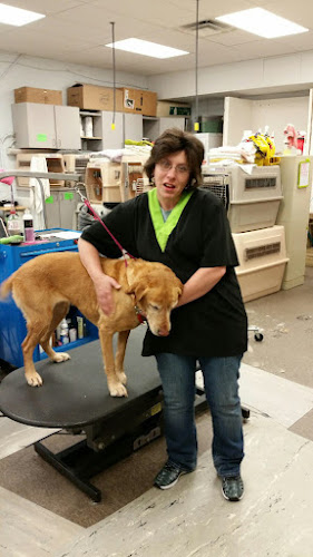 Kitty's Canine Clips