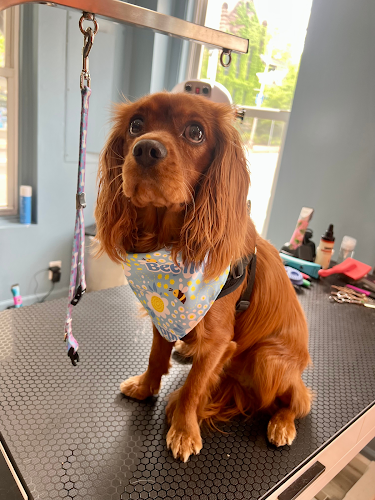 L&B Grooming and Dog Wash