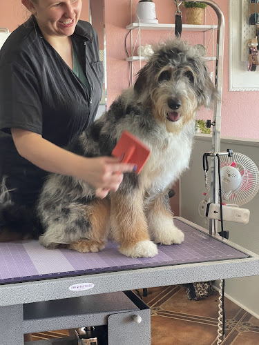 La Bella Paw Spa