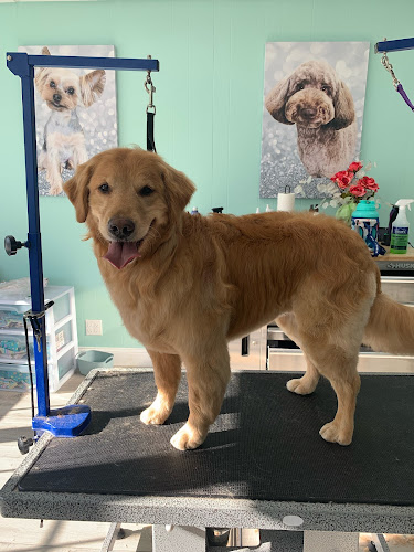 La Pooch Dog Spa LLC