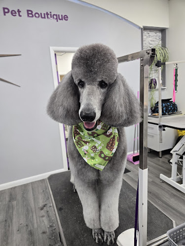 LaBella Pet Boutique