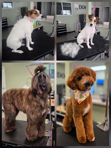 Lacy's Struttin' Mutts