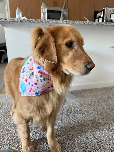 Lakeland Pet Salon, llc