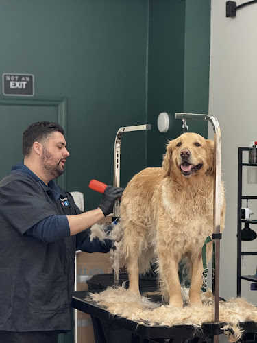 LaMagna's Dog Grooming