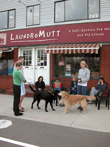 LaundroMutt