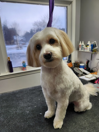 Lauren's Puptopia Grooming Salon