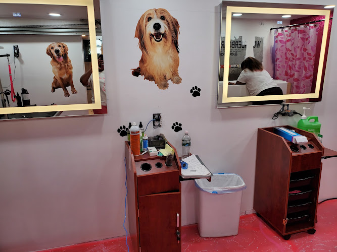 Le Pink Pooch Dog And Cat Grooming Salon LLC