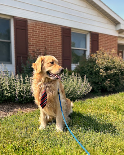 Life is Golden Pet Grooming