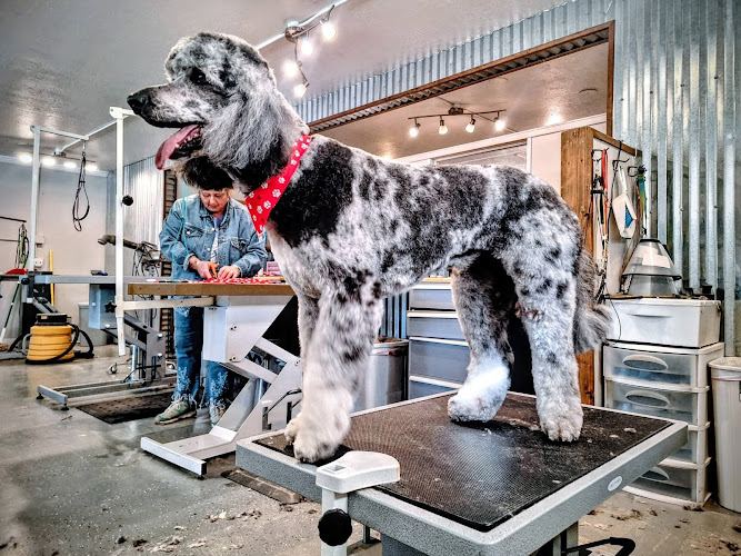 Lions Mane Grooming LLC