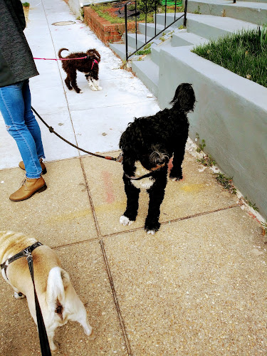 Little Jodie's PlayHouse