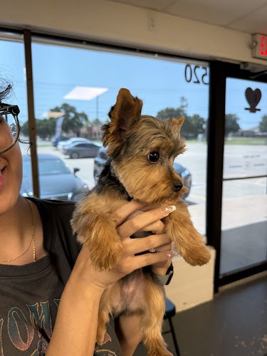 Little Paws Pet Salon