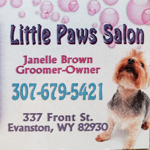Little Paws Salon