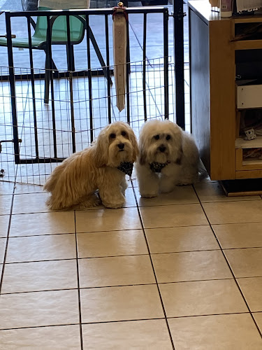 Love A Pup Dog Grooming, Daycare, & Boarding