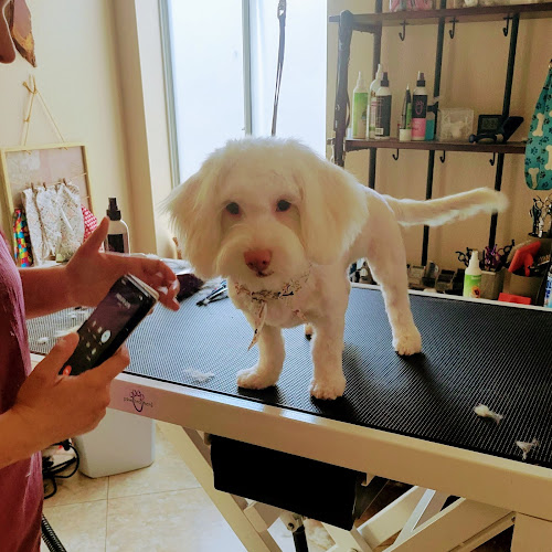 Love & Compassion Dog Grooming