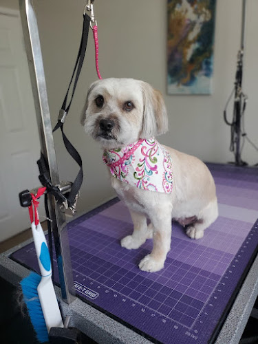 Love Fur Paws Dog Grooming