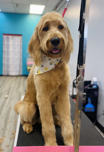 Love Leigh Grooming LLC