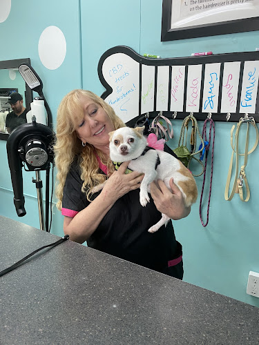 Love My Dog Grooming