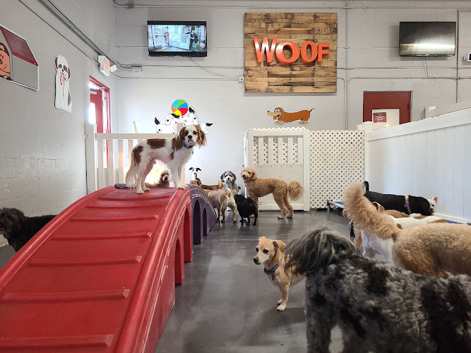 Love My Dog Resort & Playground