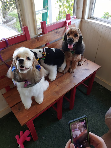 Love-N-Care Pet Salon