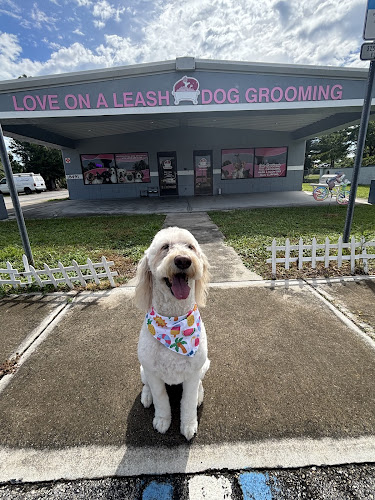 Love On A Leash Dog Grooming