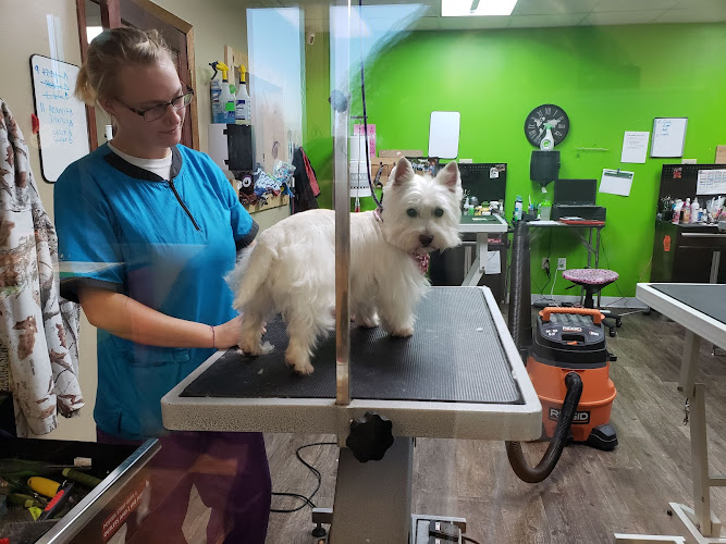 Love on a Leash Grooming