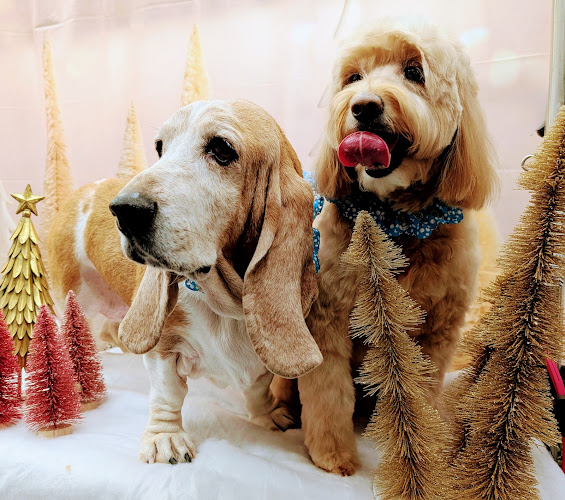 Love Paws Pet Grooming Studio