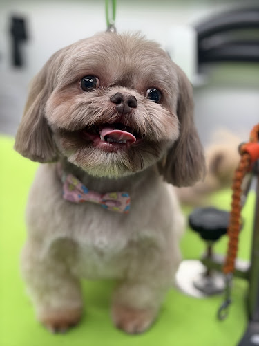 Love2Groom Grooming by John