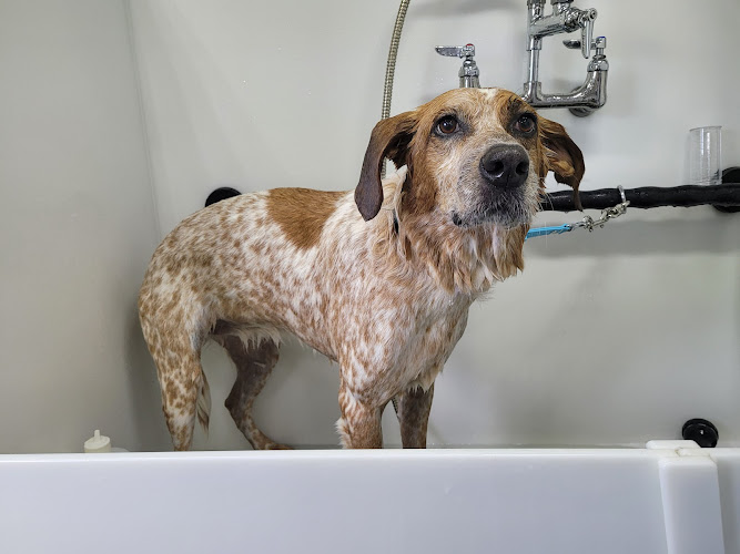 Lovely Lucy’s Dog and Cat Grooming